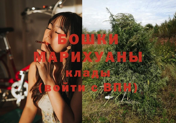 прущие крисы Няндома