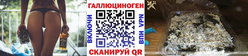 Псилоцибиновые грибы Psilocybine cubensis  Анжеро-Судженск 