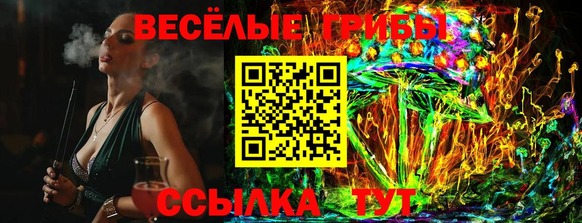 Псилоцибиновые грибы мухоморы Анжеро-Судженск