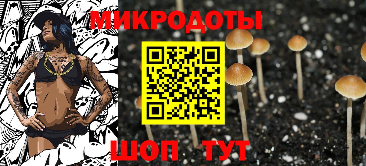 Анжеро-Судженск  Псилоцибиновые грибы прущие грибы  Вход с VPN  Псилоцибиновые грибы прущие грибы 