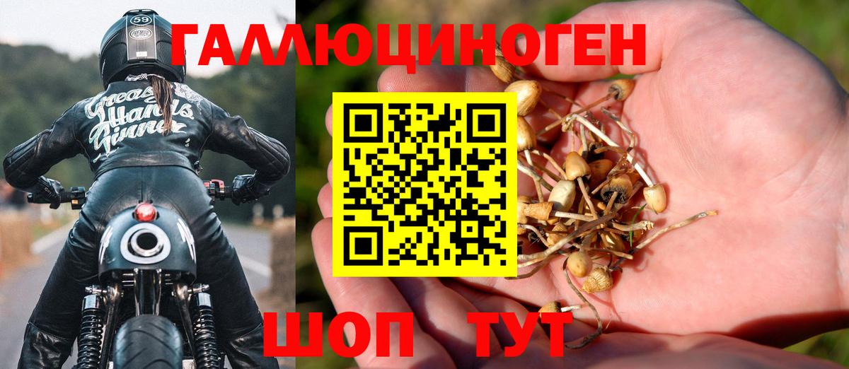 Галлюциногенные грибы Cubensis Анжеро-Судженск