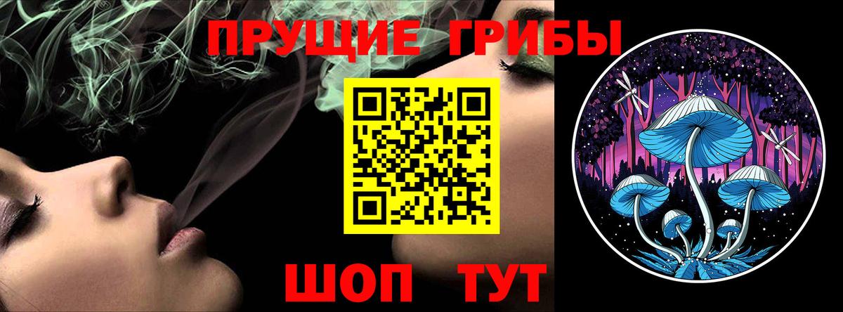 Галлюциногенные грибы MAGIC MUSHROOMS  Вход с VPN  Анжеро-Судженск 